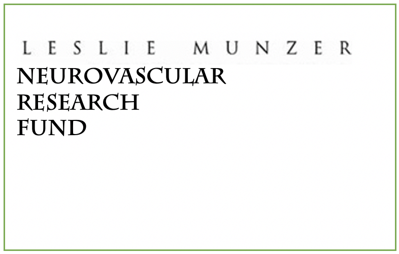 Leslie Munzer Neurovascular Research Fund