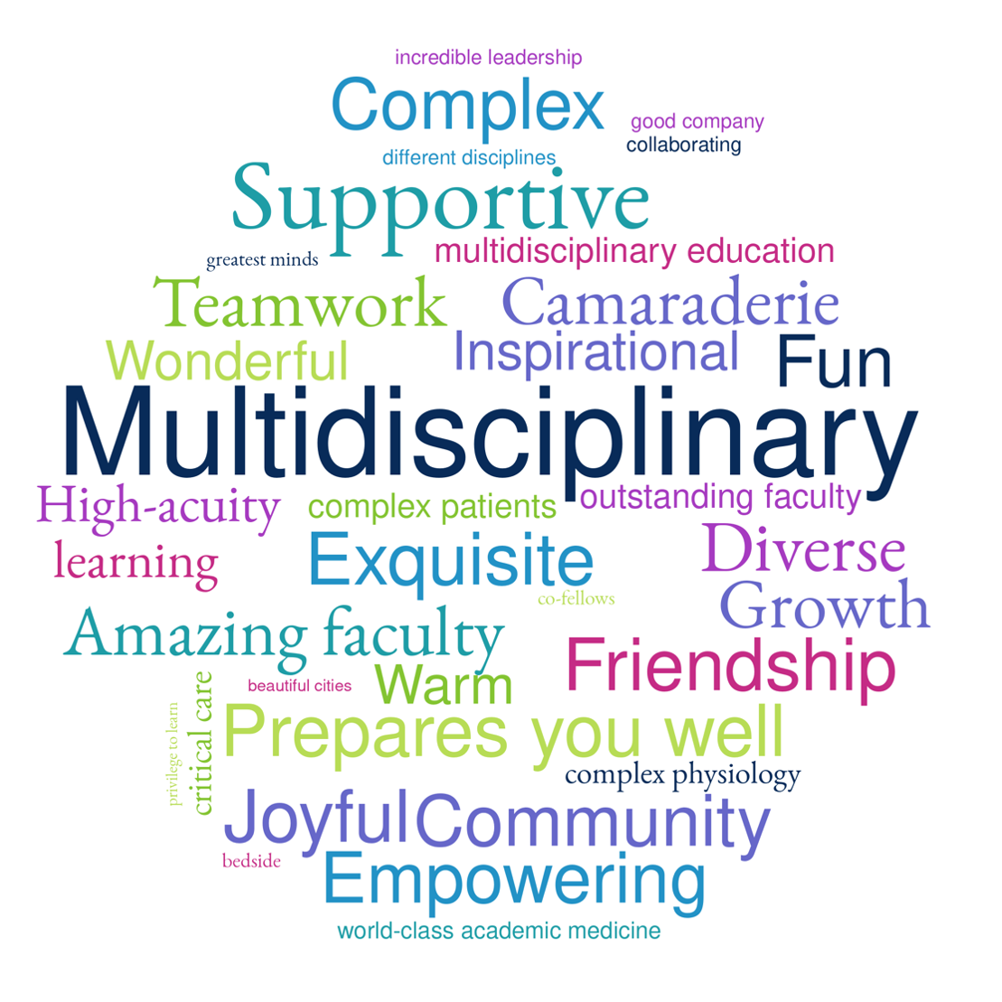 A multi-colored word cloud featuring the words: multidisciplinary, supportive, complex, camaraderie, teamwork, fun, exquisite, friendship, joyful, community and empowering.
