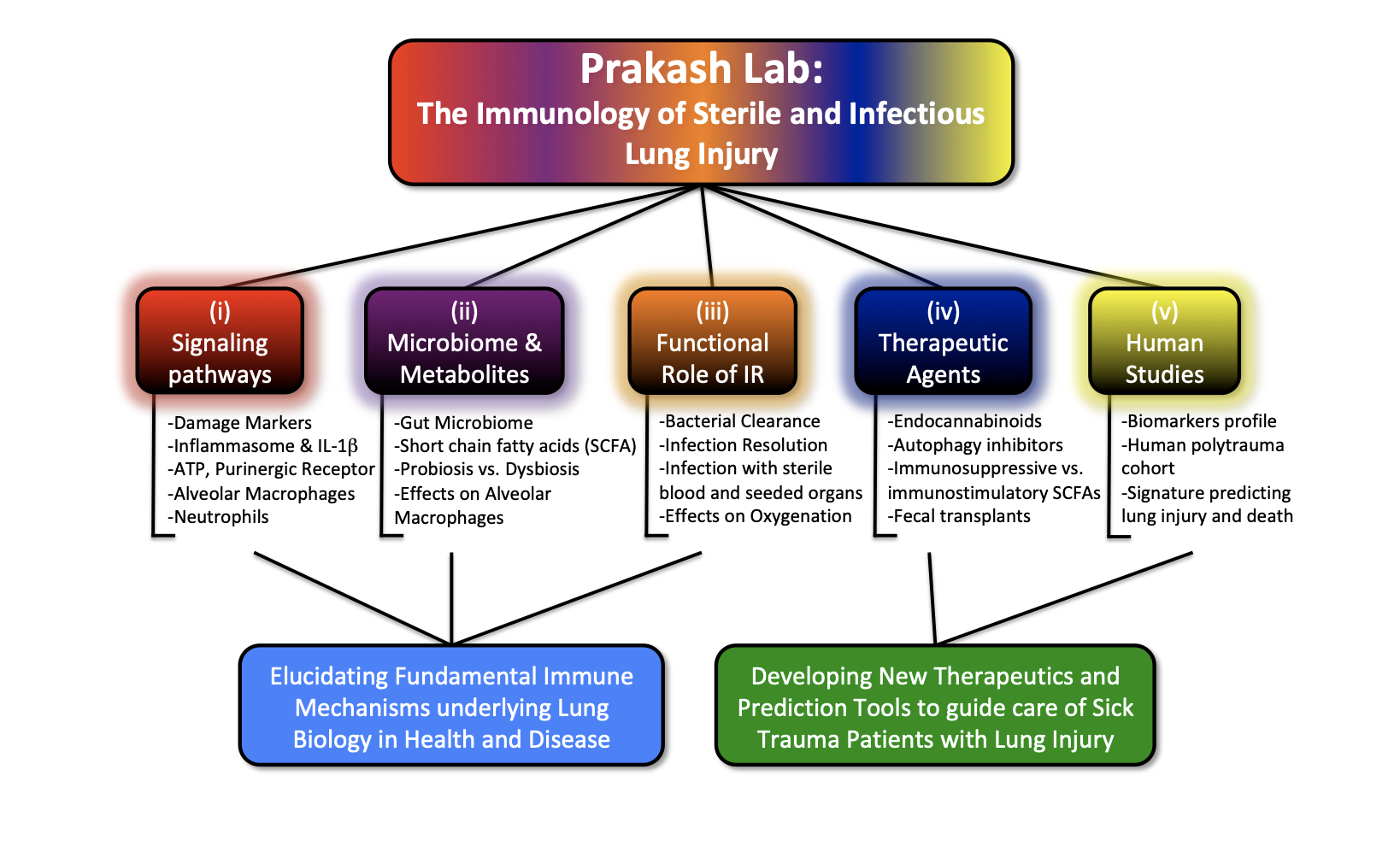 diagram of Prakash Lab research