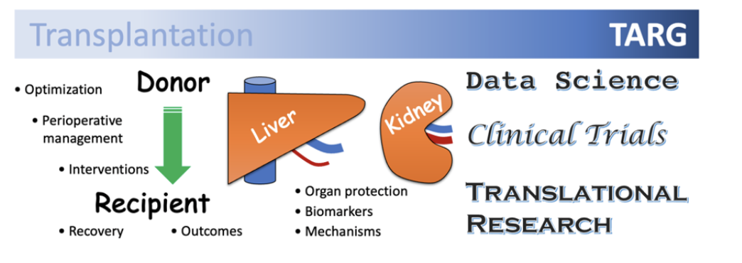 Transplant Anesthesia Research Group diagram