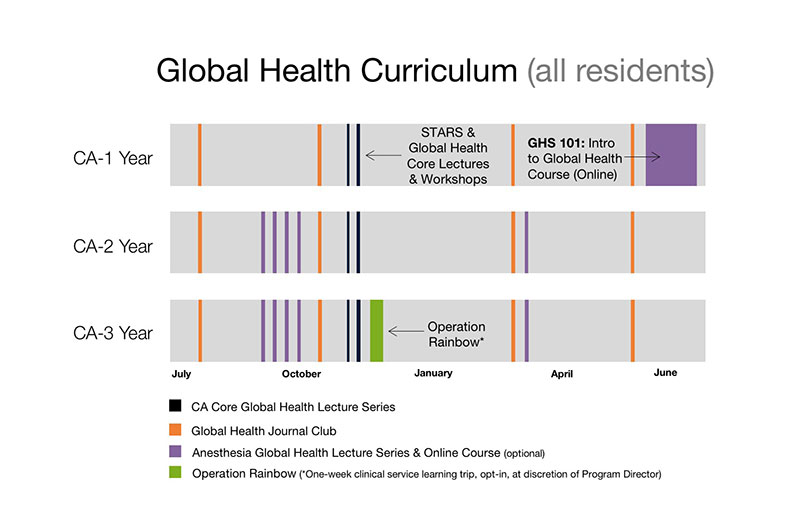 Global Health Curriculum graphic