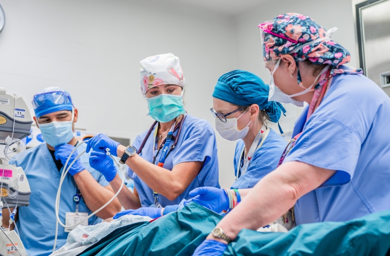 Four doctors in the OR