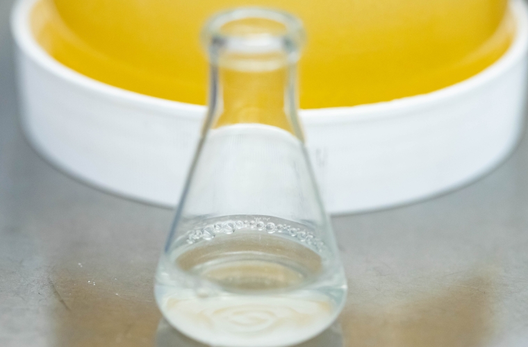 a beaker in front of a yellow petri dish