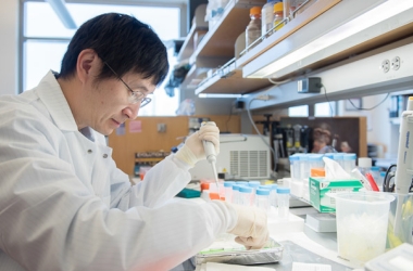 Dr. Zhonghui Guan in the lab