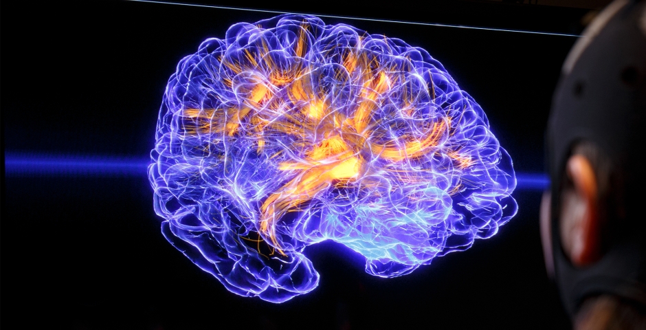 his is an anatomically-realistic 3D brain visualization depicting real-time source-localized activity (power and “effective” connectivity) from EEG (electroencephalographic) signals.