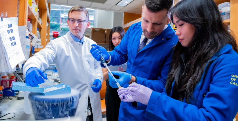 Members of the TARG Research Group working in the lab