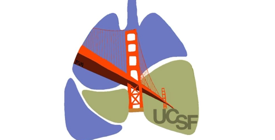 Prakash Lab logo showing sketch of lungs with the Golden Gate Bridge over them.