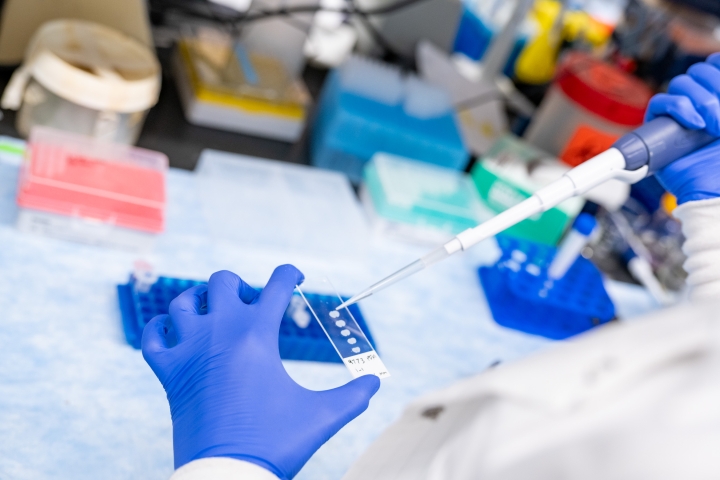 Blue gloved hands holding a specimen slide and a pipette with a lab bench in the background.