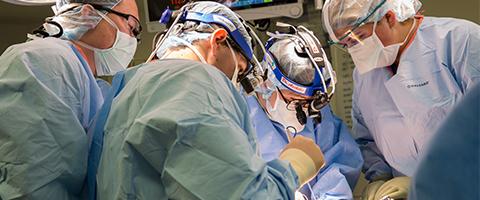 Photo of a liver transplant surgery at UCSF