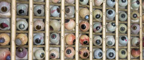 Oculist Phil Danz donated this collection of blown glass eye pathological specimens, made in the 1880s by his uncle Amandus Mueller, to the School of Medicine, which are now located in the Kalmanovitz Library Archives.and Special Collections