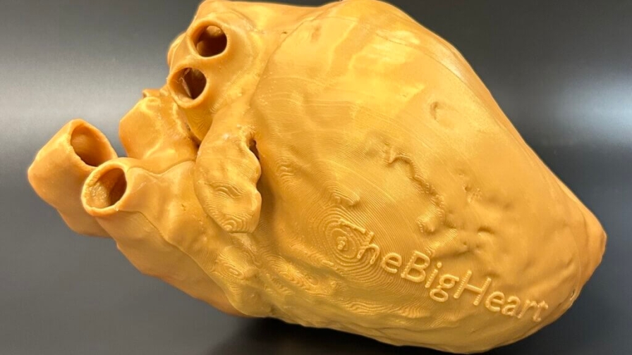 A 3D printed heart model with the words The Big Heart printed on it.