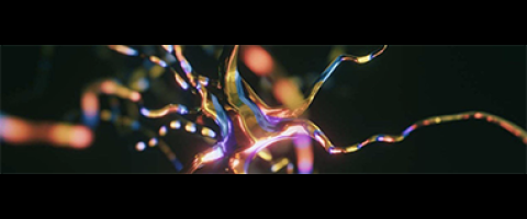3D rendering of neurons firing