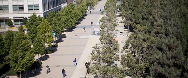 People walking down Mission Bay Campus pathway