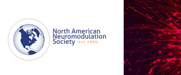 North Americxan Neuromodulaton Society Logo with crop of "neurons-emerging-from-a-neurosphere-aditi-deshpande" photo