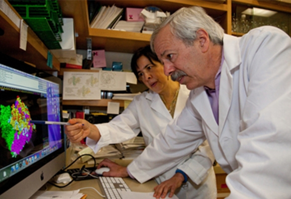 Dr. Jim Marks and colleague look at an image on a computer in the lab.