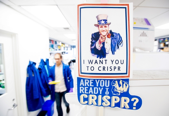 "I Want You to CRISPR" and "Are You Ready to CRISPR?" signs in a lab at UCSF