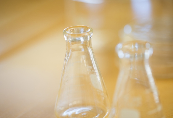 Erlenmeyer flasks in a lab.