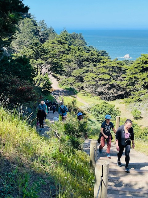 Department members hiking the Lands End/Sutro Trail